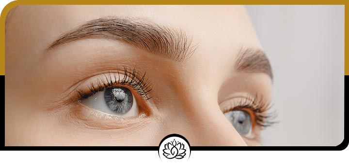 Eyebrow and Face Threading Specialist Near Me in Brandon, FL